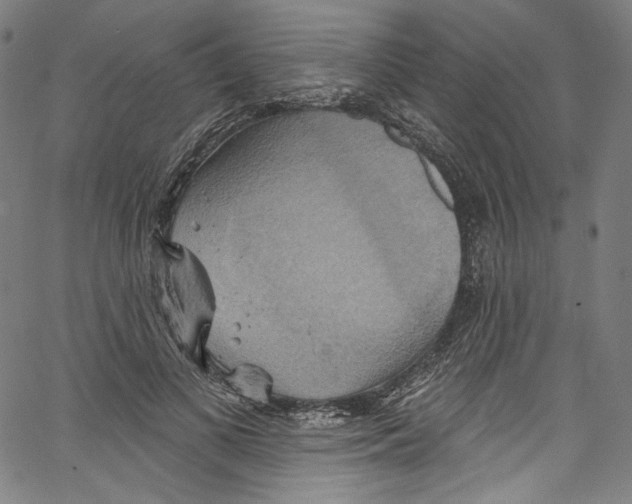 X0000067350693200604281442