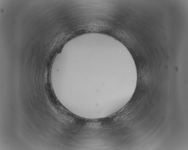 X0000067350694200604281442