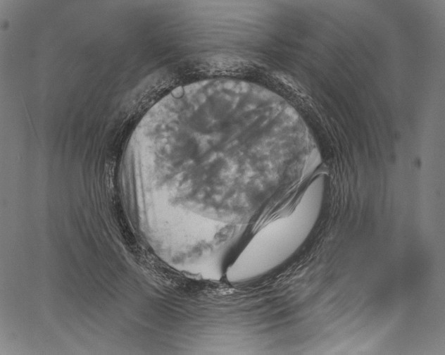 X0000067350695200604281442