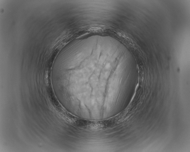 X0000067350696200604281442