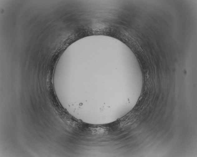 X0000067350698200604281442