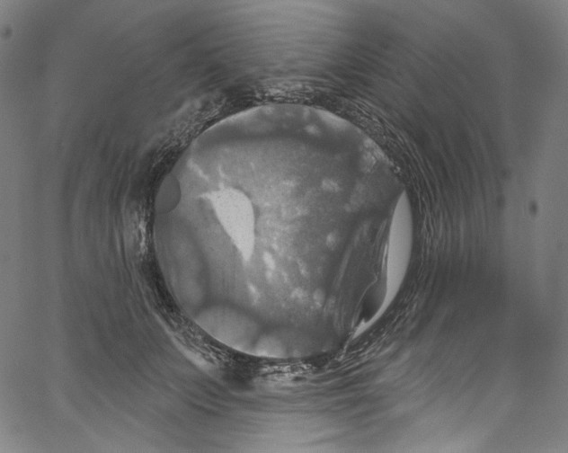 X0000067350703200604281442