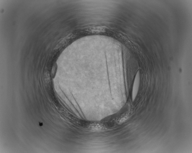 X0000067350704200604281442