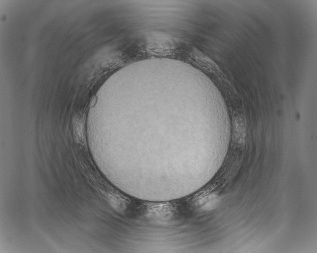 X0000067350705200604281442