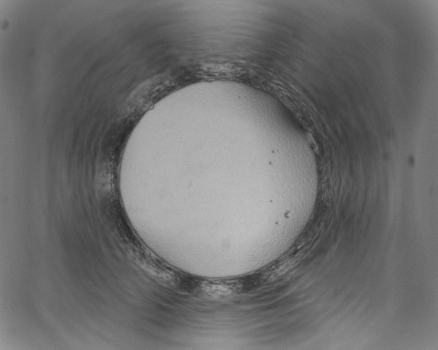 X0000067350706200604281442