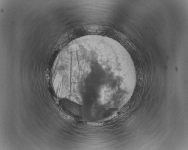 X0000067350707200604281442