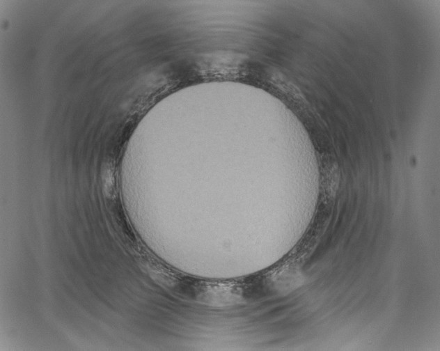 X0000067350709200604281442