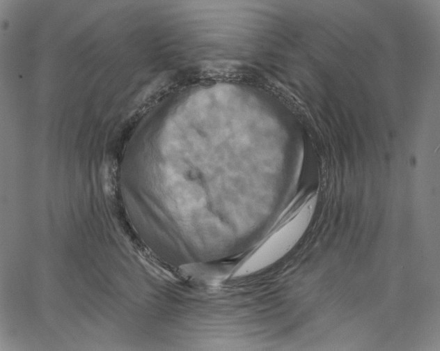 X0000067350712200604281442