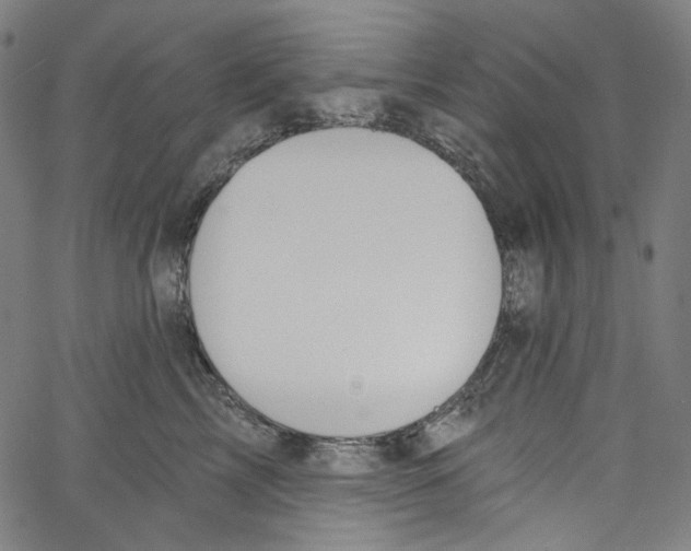 X0000067350713200604281442