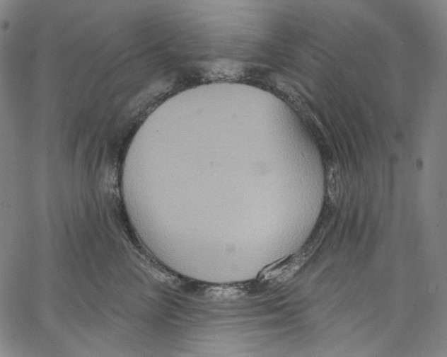 X0000067350714200604281442