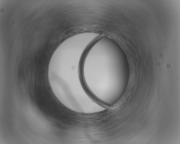 X0000067350720200604281442