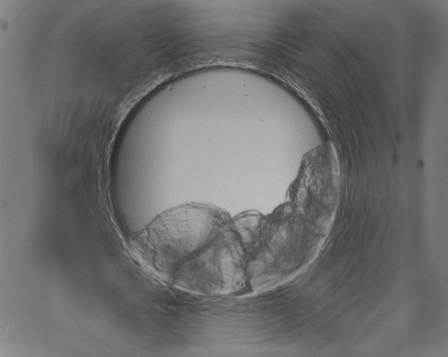 X0000067350721200604281441