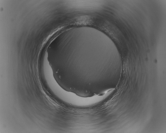 X0000067350722200604281441