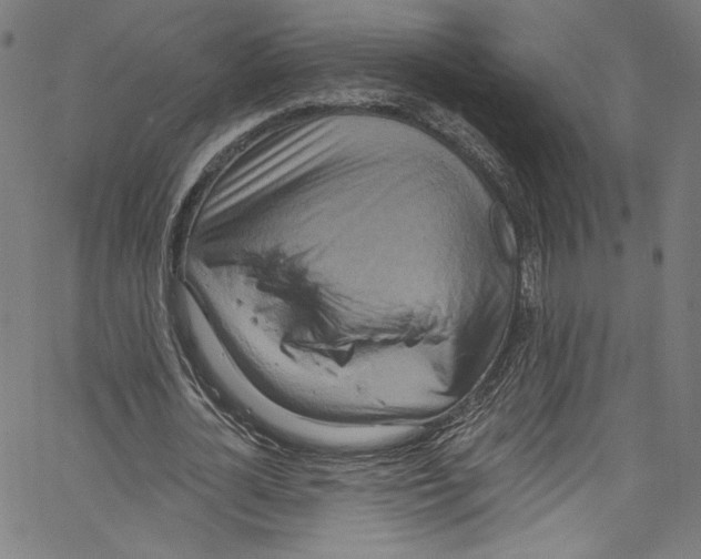 X0000067350724200604281441