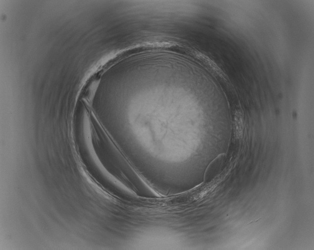 X0000067350726200604281441