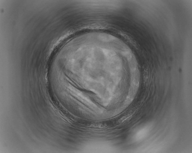 X0000067350727200604281441