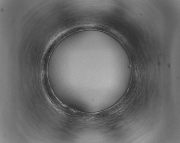 X0000067350728200604281441