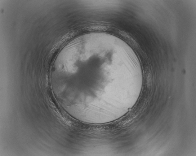 X0000067350729200604281441