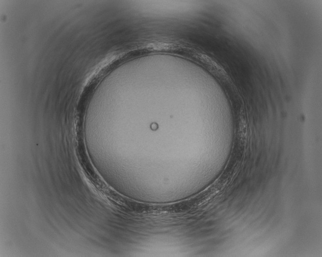 X0000067350730200604281441