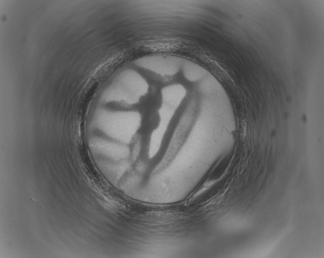 X0000067350733200604281441