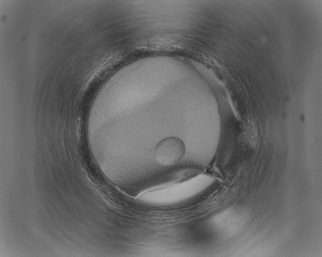 X0000067350735200604281441