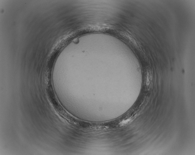 X0000067350736200604281441