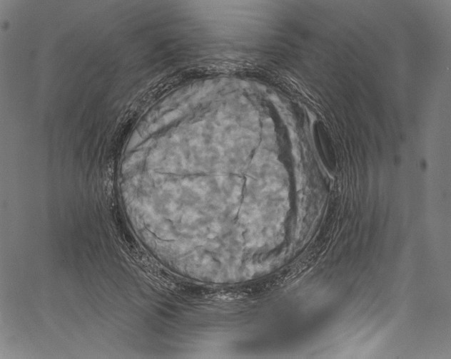 X0000067350737200604281441