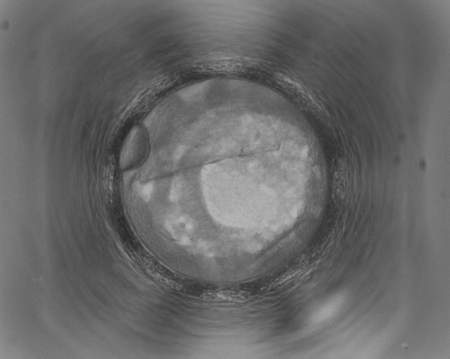 X0000067350739200604281441