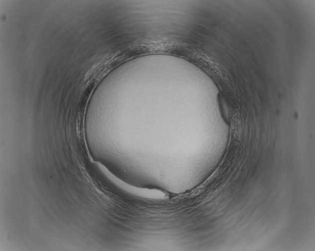 X0000067350740200604281441