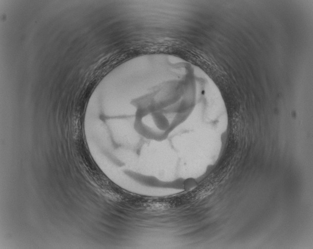 X0000067350741200604281441