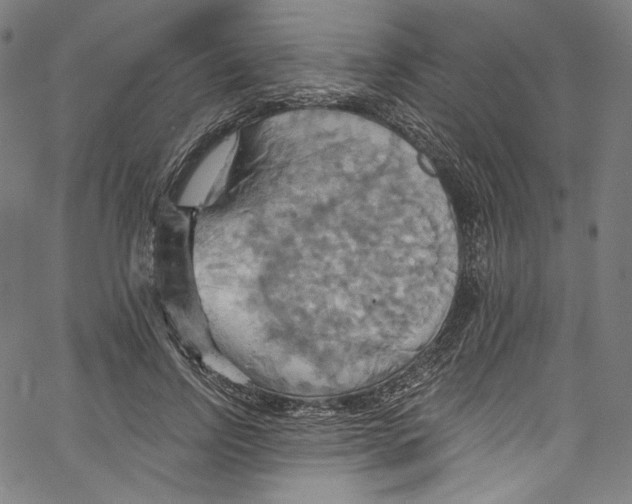 X0000067350742200604281441