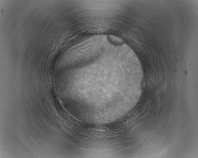 X0000067350743200604281441