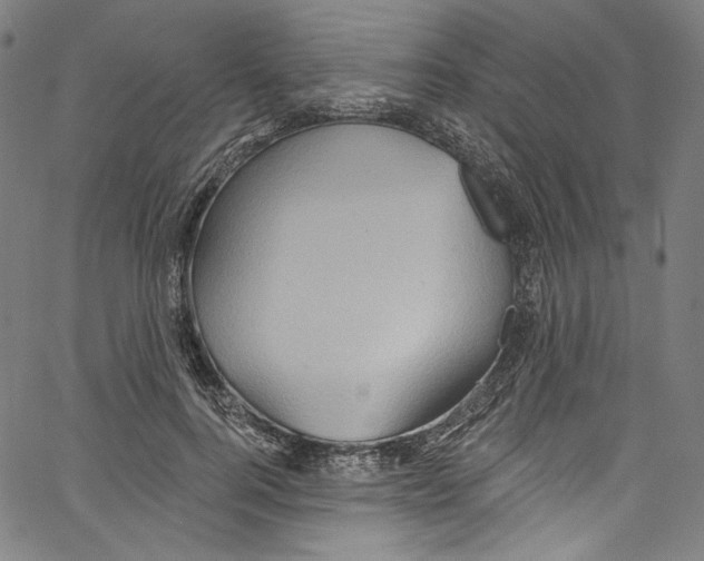 X0000067350744200604281441