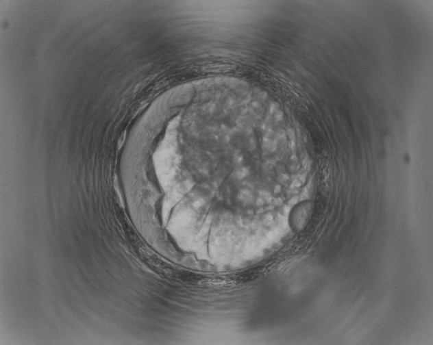 X0000067350745200604281441