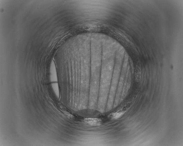 X0000067350748200604281441