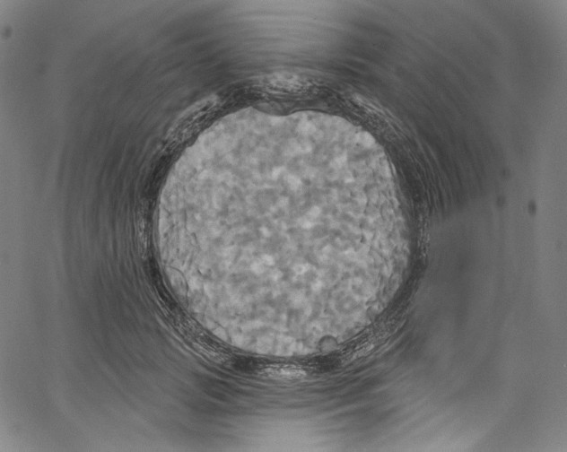 X0000067350749200604281441