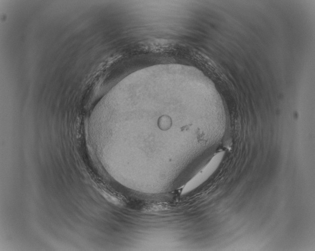 X0000067350750200604281441