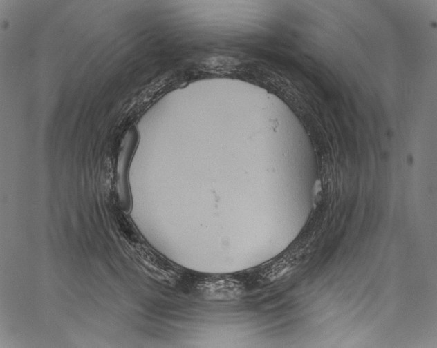 X0000067350752200604281441