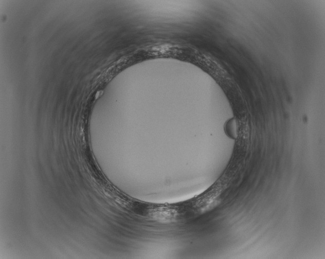 X0000067350754200604281441