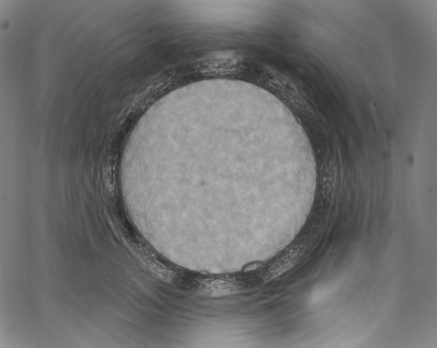 X0000067350755200604281441