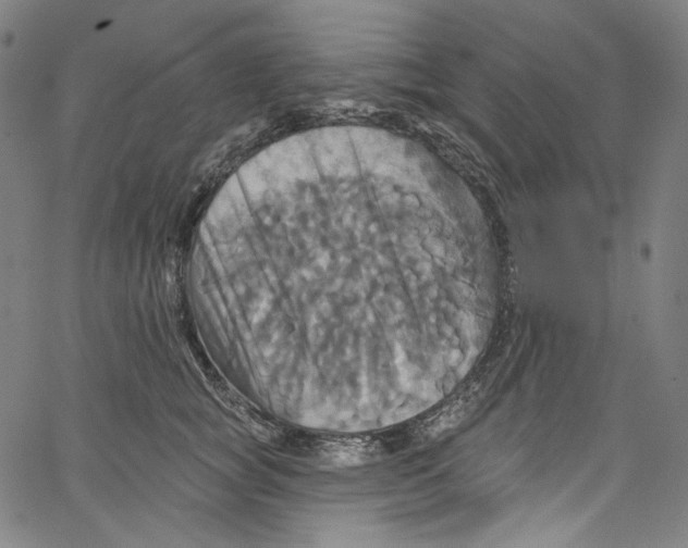 X0000067350757200604281442