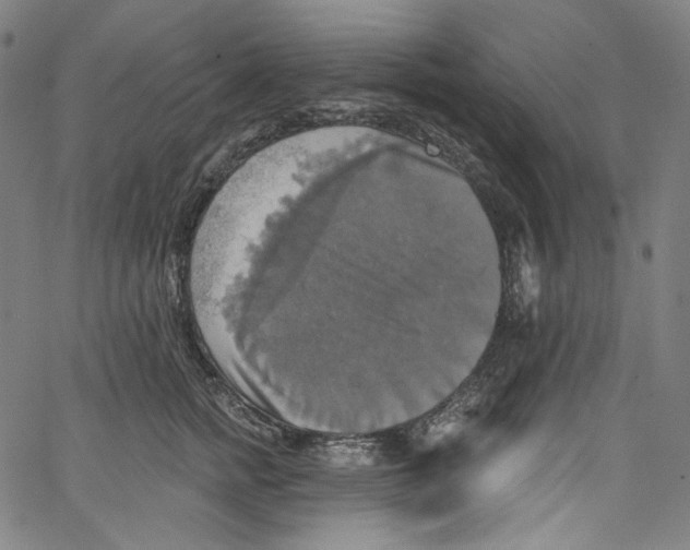 X0000067350758200604281442