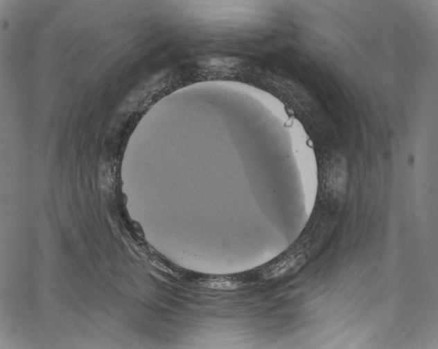 X0000067350759200604281442