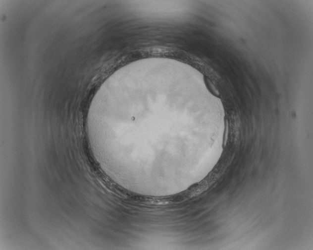 X0000067350760200604281442