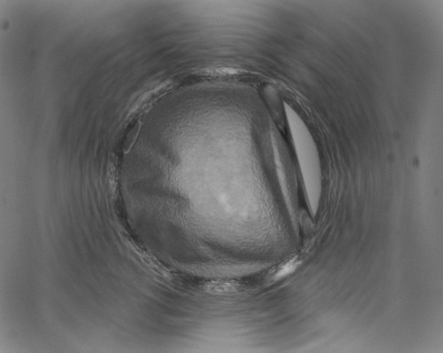 X0000067350762200604281442