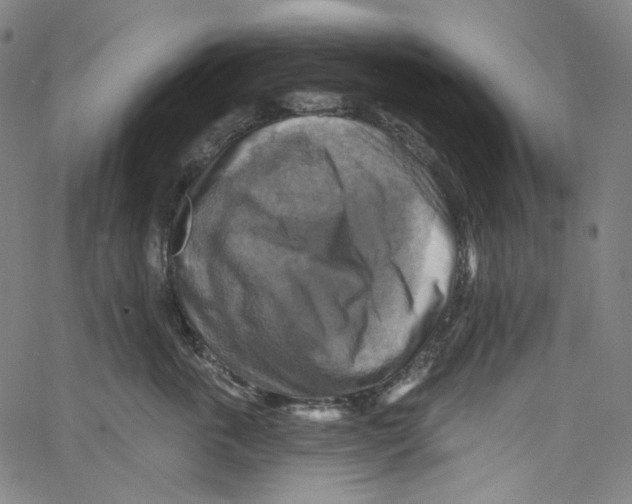 X0000067350763200604281442