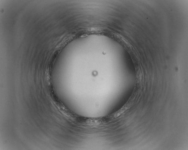 X0000067350764200604281442