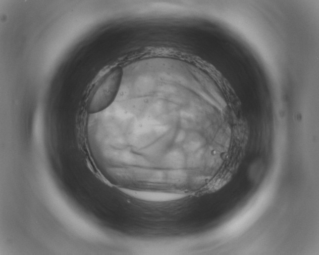 X0000067350765200604281442