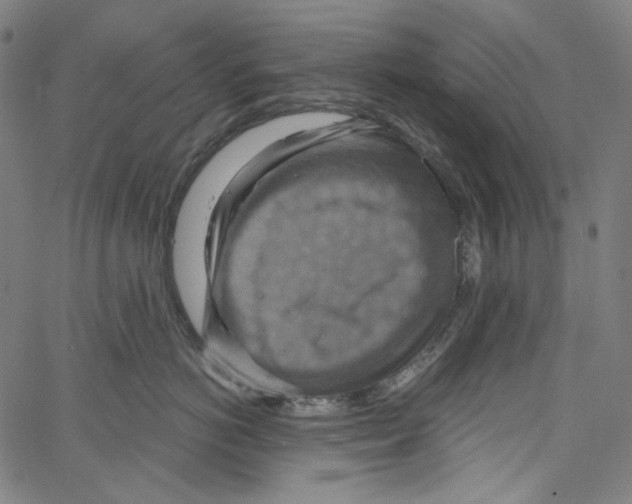 X0000067350766200604281442