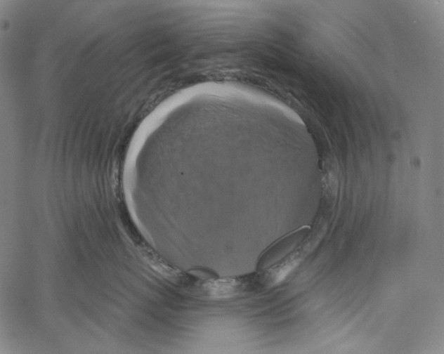 X0000067350767200604281442